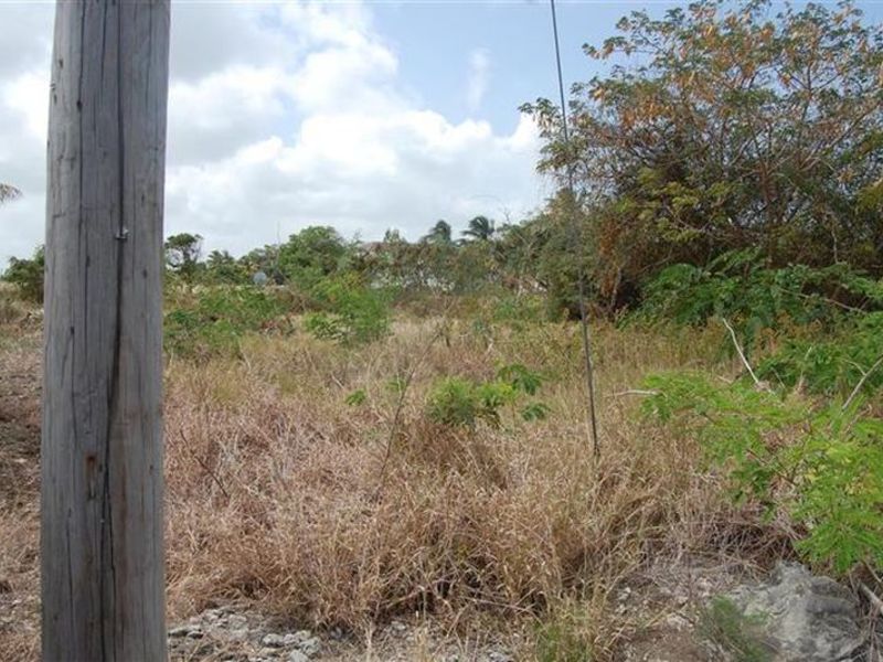 Land For Sale in Sandford Barbados